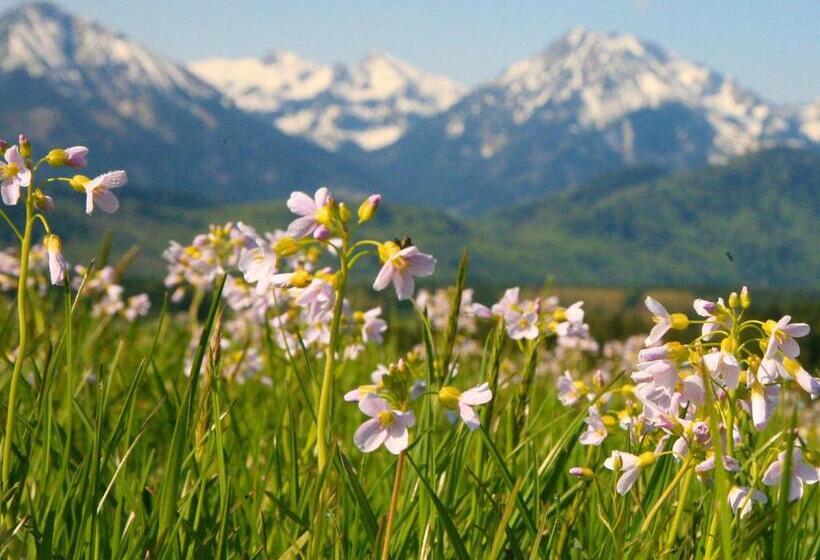 חדר קומפורט, Seehotel Hartung & Ferienappartements