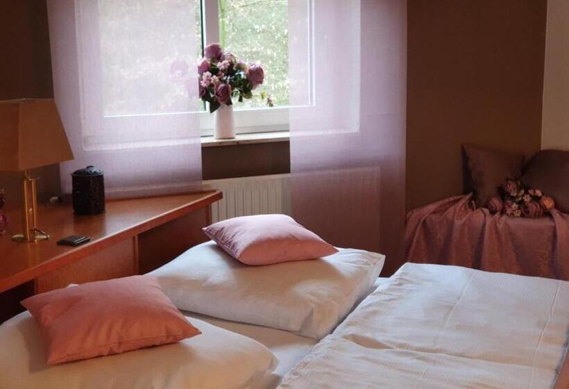 Номер Стандарт Индивидуальный, Waldhotel Surwold