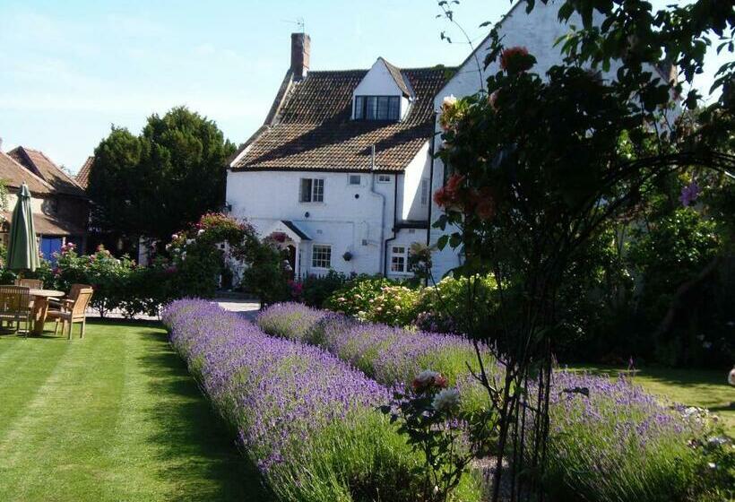 高级大房间, The Old House