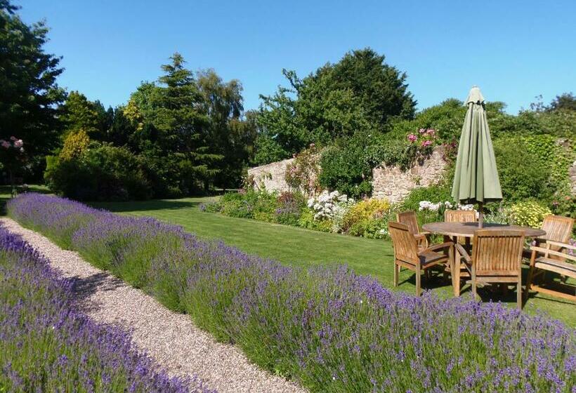 高级大房间, The Old House