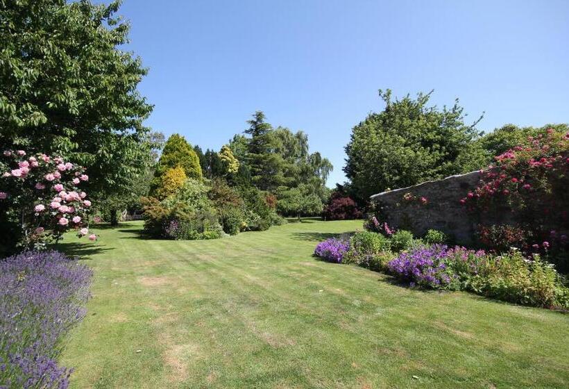 标准间, The Old House