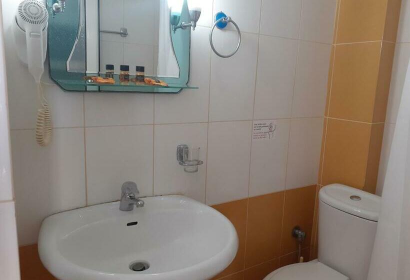 Standard Room with Balcony, Ceko