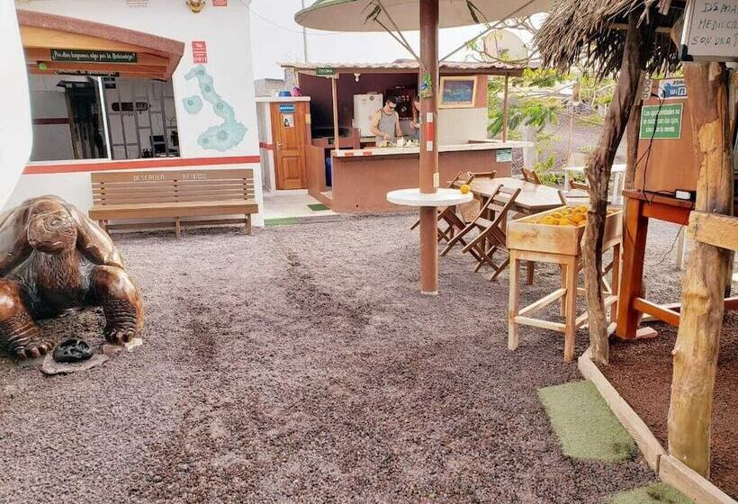 تختخواب در اتاق مشترک, Posada Del Caminante