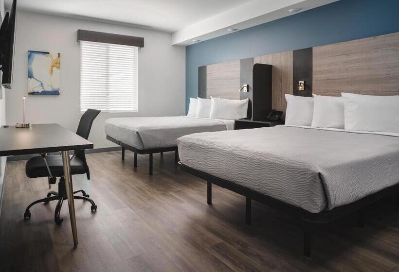套房, Stayapt Suites College Station