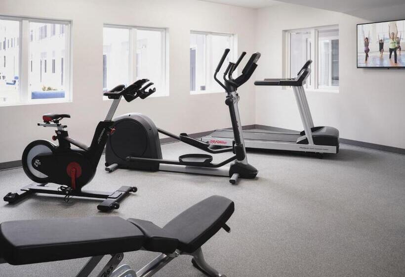 带大床的套房, Stayapt Suites College Station