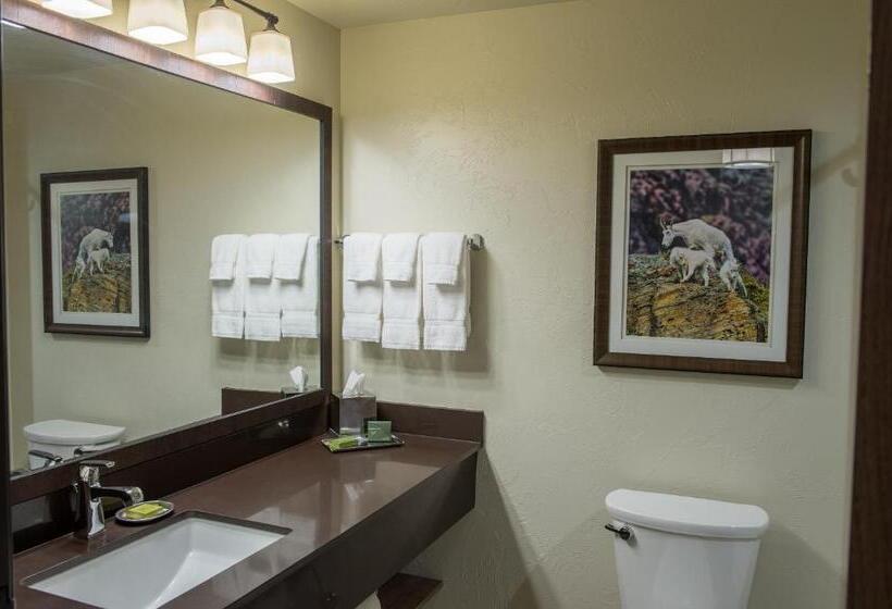 Номер Deluxe Кровать Кинг, Cedar Creek Lodge & Conference Center