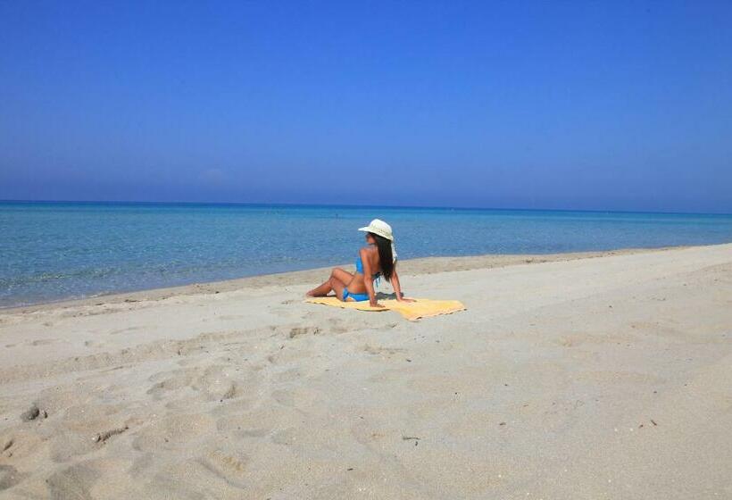 标准间, Salento Mirfran