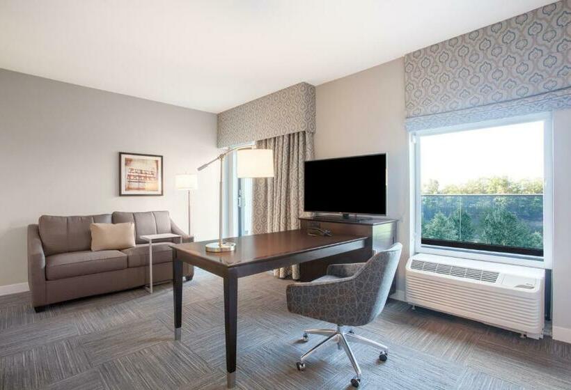 Люкс Deluxe Кровать Кинг, Hampton Inn Rochester Penfield