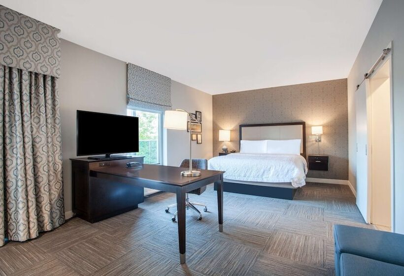Студия Стандарт Двуспальная Кровать, Hampton Inn Rochester Penfield