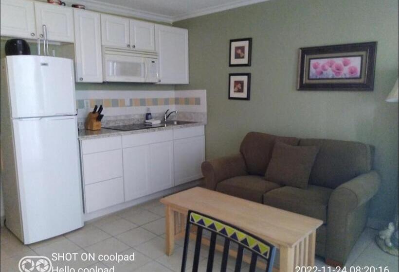 Апартаменты 1 Спальня Вид на Море, Daytona Beach   Condo Ocean Front View