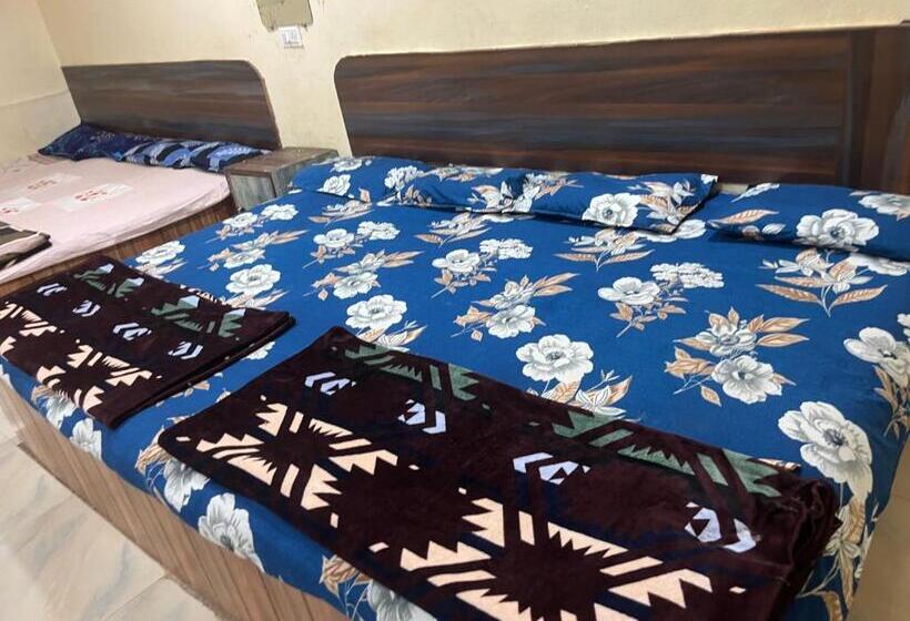 Семейный Номер Deluxe, Shivganga Guest House