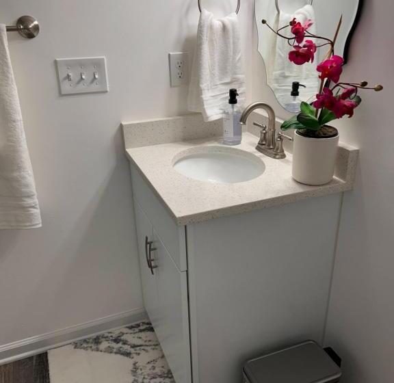 디럭스 룸, Luxurious Basement Guest Suite In Elkridge