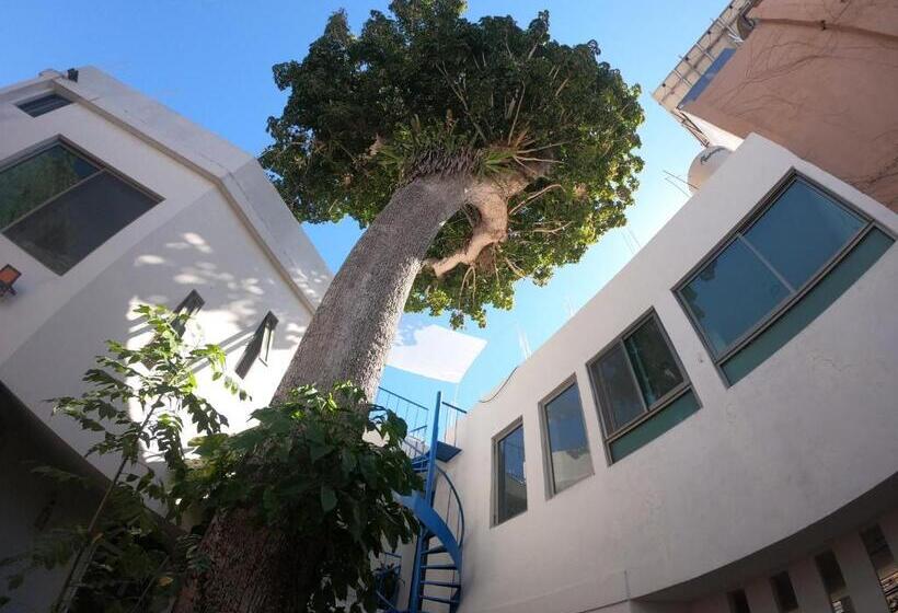 スタンダードルーム, Casa Arbol De Paz Hab Sencilla