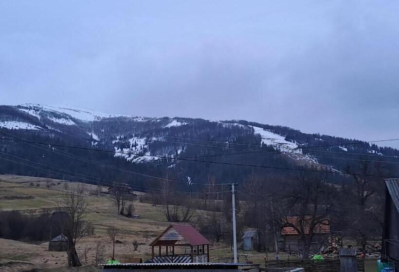 ファミリールーム, лимонний дім
