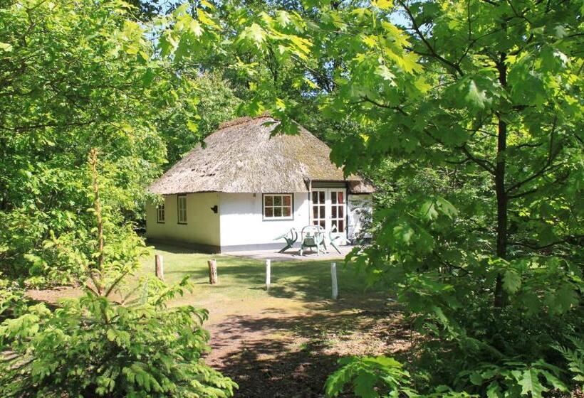 标准平房, Summio Bungalowpark Herperduin
