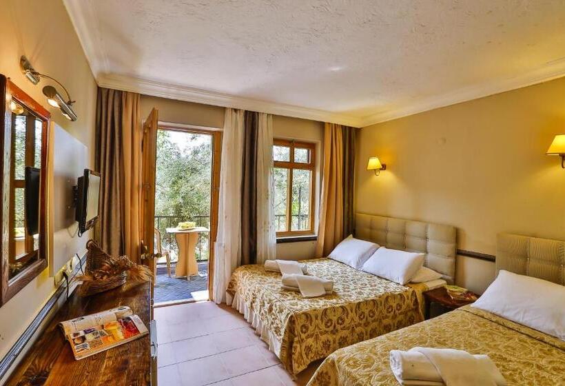 اتاق استاندارد, Club Hotel Gultur