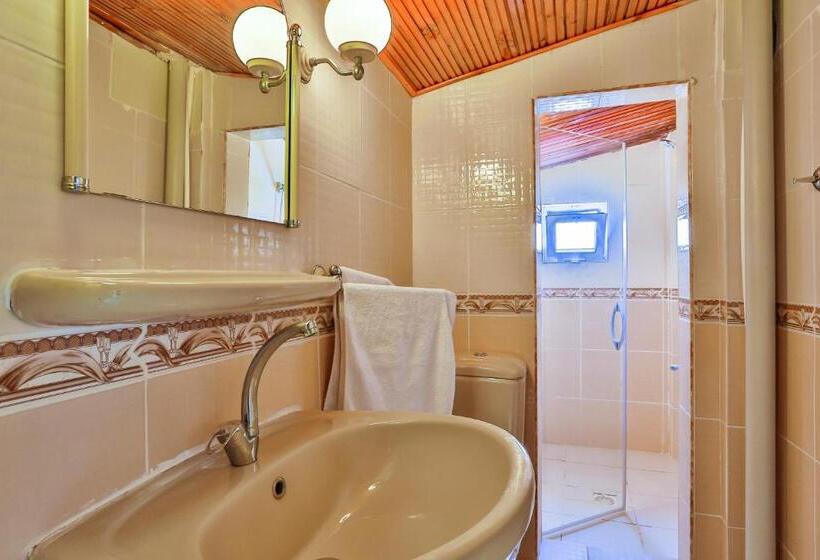 اتاق استاندارد با چشم‌انداز باغ, Club Hotel Gultur