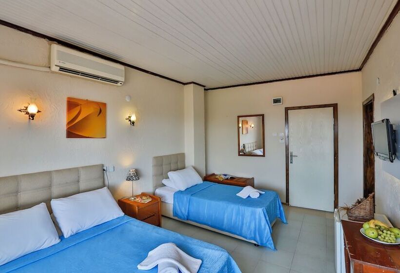 اتاق استاندارد سه تخته با چشم‌انداز باغ, Club Hotel Gultur