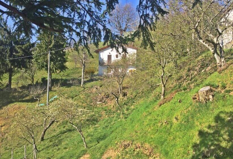 Номер Стандарт, Agriturismo Bicocchi