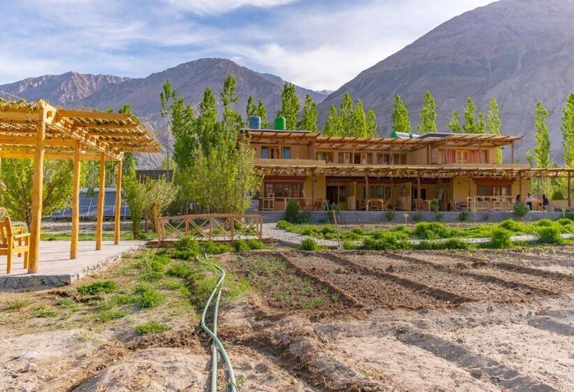 Номер Deluxe Вид на Горы, Nubra Ecolodge