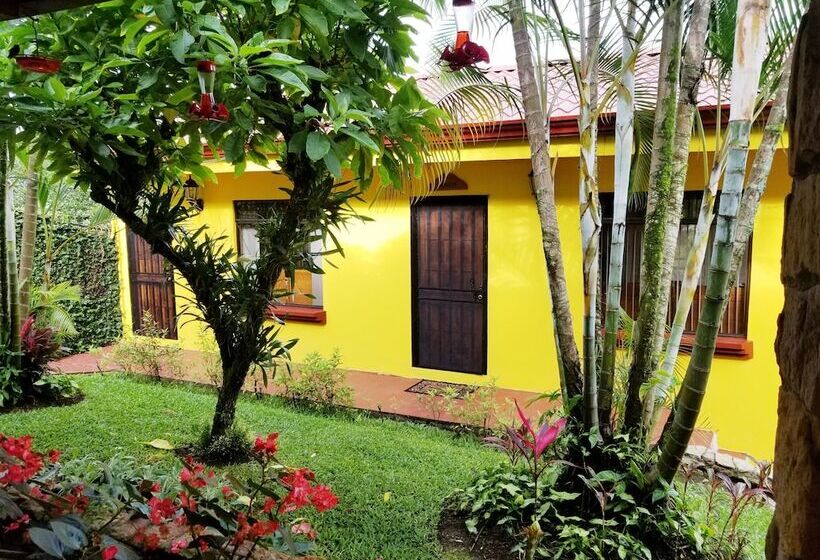 스탠다드 전망 룸, La Terraza Guest House B&b