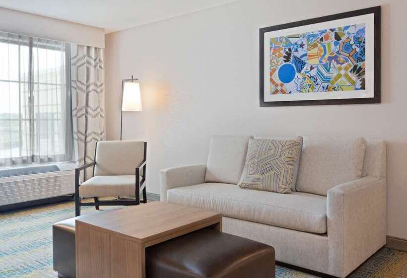디럭스 스위트 킹 침대, Embassy Suites By Hilton Berkeley Heights