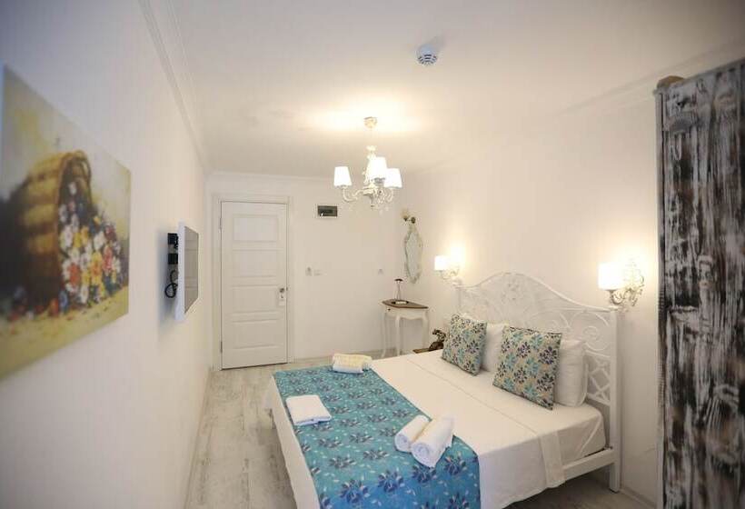 Quarto Economy, Rüzgar Gülü