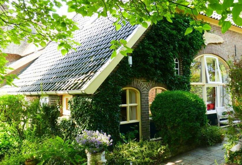 Семейный Номер, B&b Rezonans