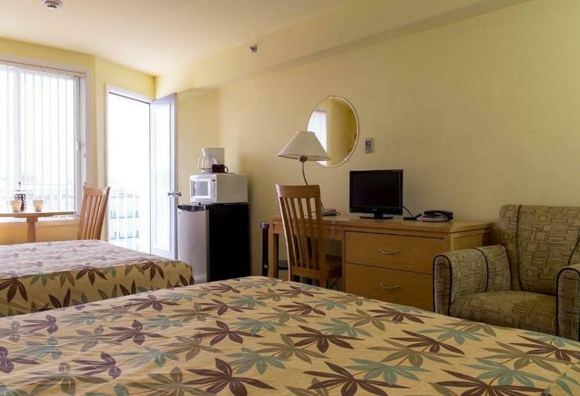 스탠다드 룸, Shalimar Resort