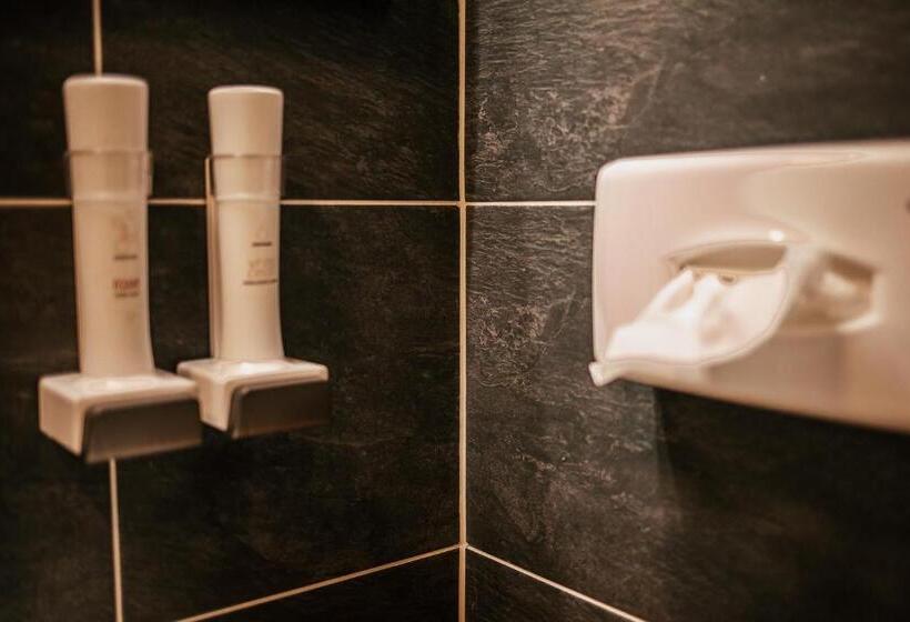 شقة سوبريور غرفة واحدة, Alpenhotel & Aparthotel Lanz