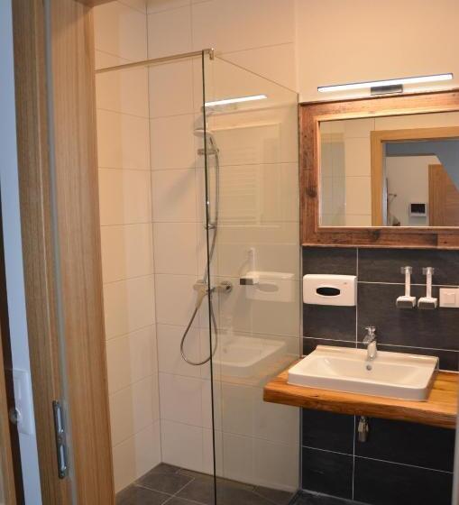 شقة سوبريور غرفة واحدة, Alpenhotel & Aparthotel Lanz