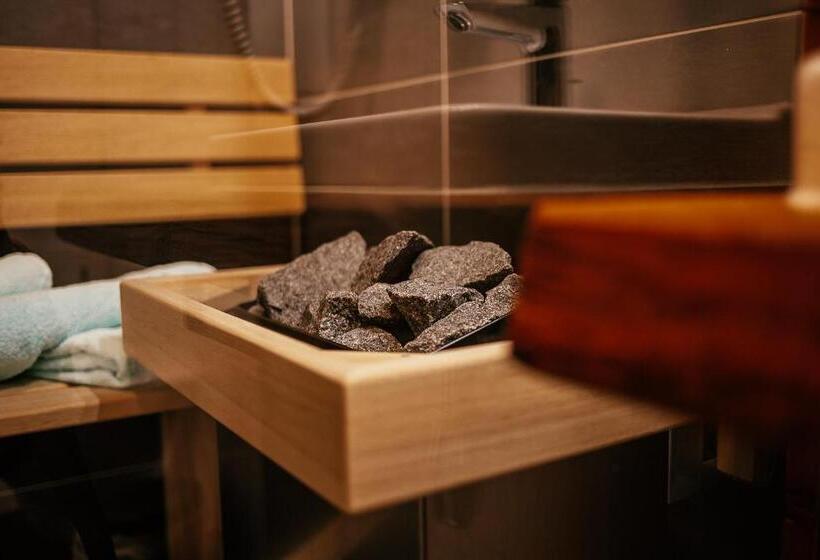 شقة سوبريور غرفة واحدة, Alpenhotel & Aparthotel Lanz