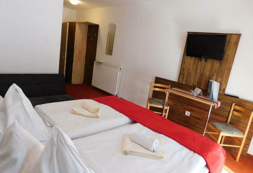 غرفة قياسية, Alpenhotel & Aparthotel Lanz