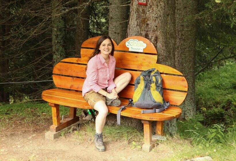 شقة سوبريور غرفة واحدة, Alpenhotel & Aparthotel Lanz