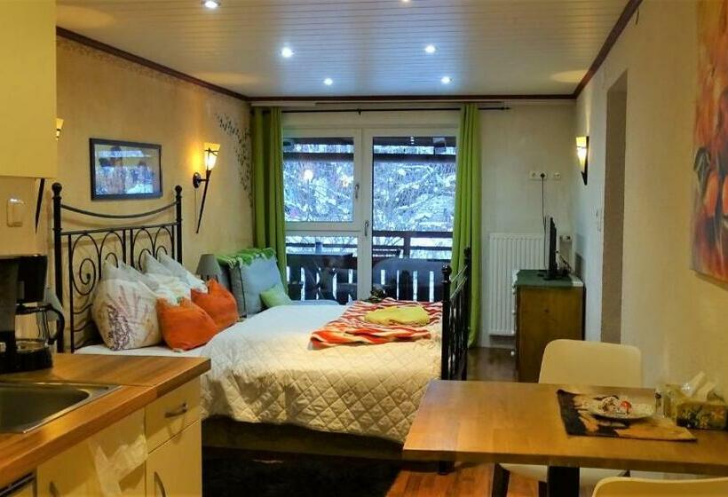 Апартаменты 1 Спальня, Alpinresort Derbacherhof