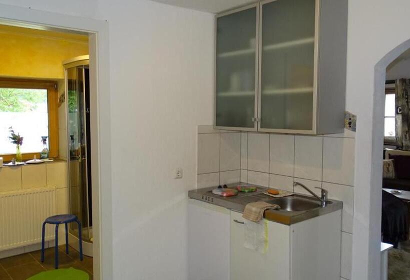 Апартаменты 1 Спальня, Alpinresort Derbacherhof