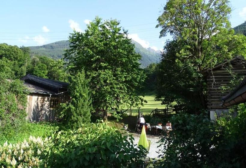 Апартаменты 1 Спальня, Alpinresort Derbacherhof
