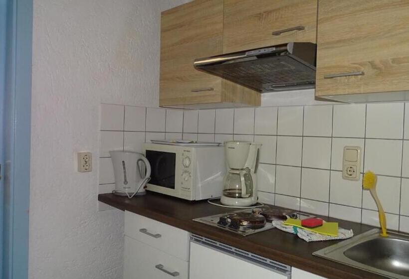 Апартаменты 1 Спальня, Alpinresort Derbacherhof