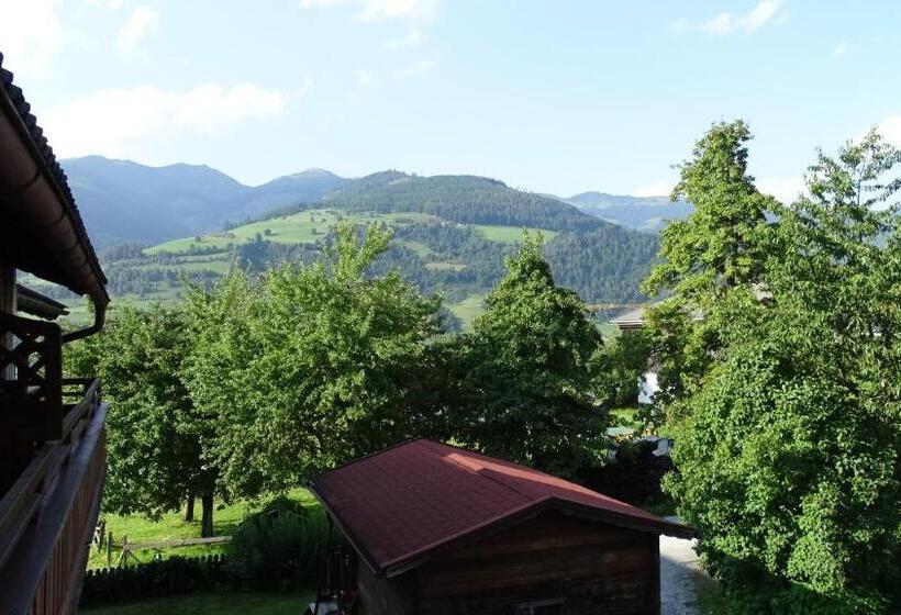 Апартаменты 1 Спальня, Alpinresort Derbacherhof