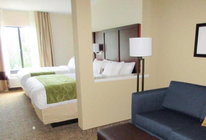 패밀리 스위트, Comfort Suites Greenville South
