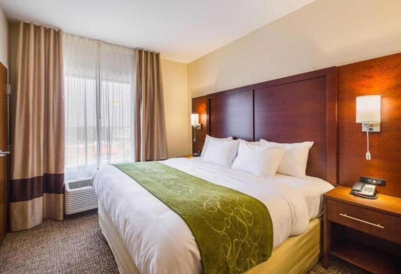 스위트 킹사이즈 침대, Comfort Suites Greenville South