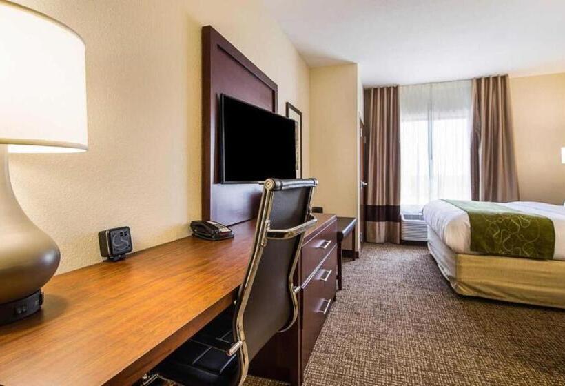스위트 킹사이즈 침대, Comfort Suites Greenville South