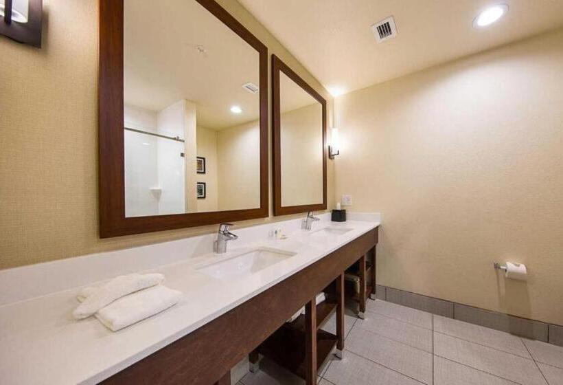 장애인을 위한 스위트, Comfort Suites Greenville South