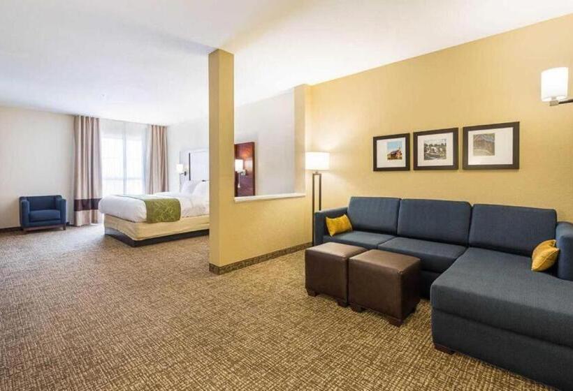 장애인을 위한 스위트, Comfort Suites Greenville South