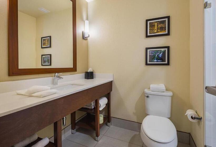 身障者適用スイートルーム, Comfort Suites Greenville South