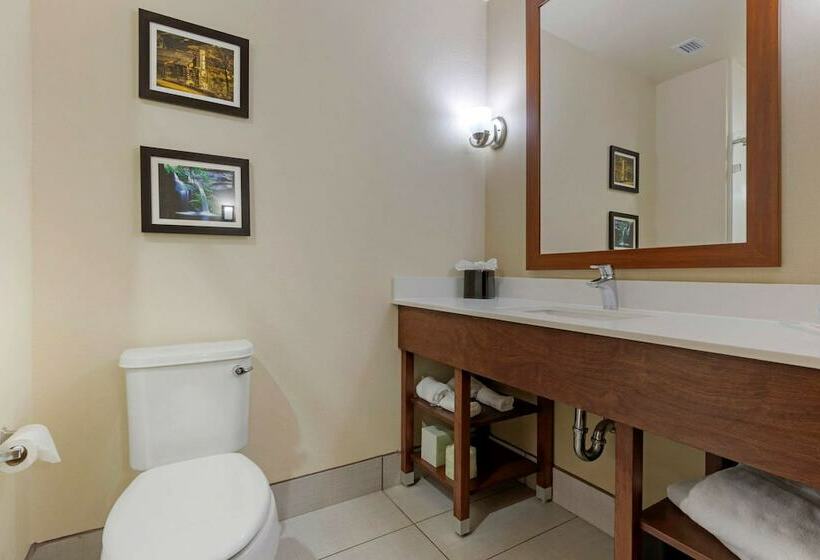 스위트, Comfort Suites Greenville South