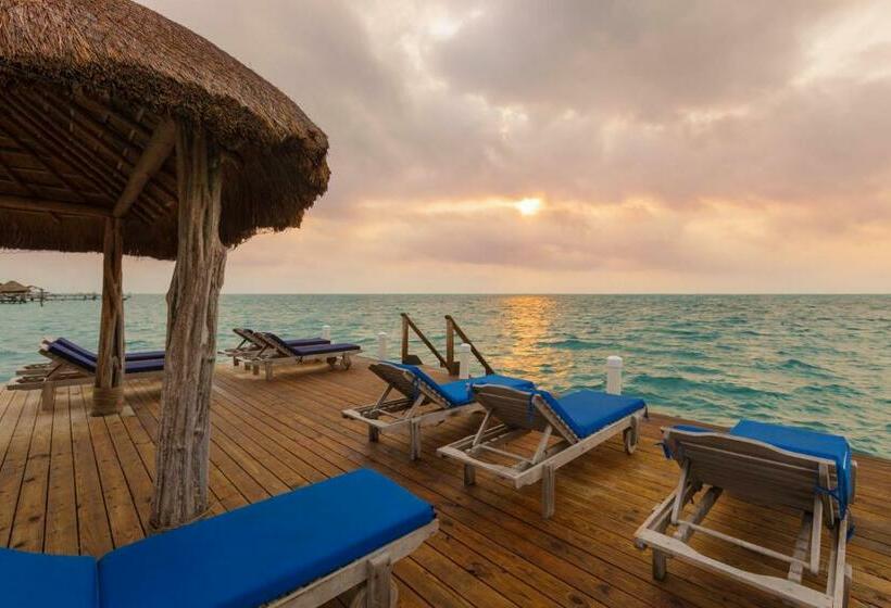 바다 전망 스위트, Weezie S Ocean Front Hotel And Garden Cottages