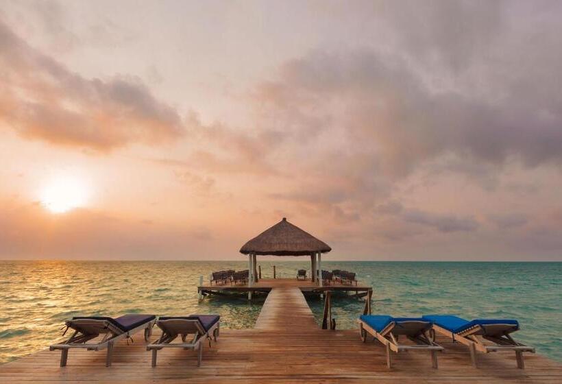수피리어 스위트, Weezie S Ocean Front Hotel And Garden Cottages