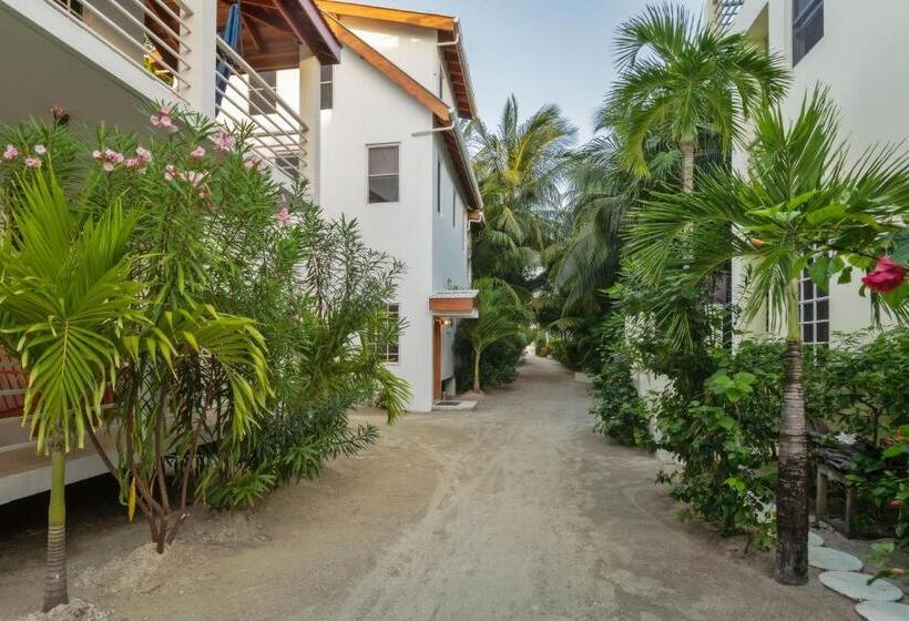 스탠다드 스튜디오, Weezie S Ocean Front Hotel And Garden Cottages