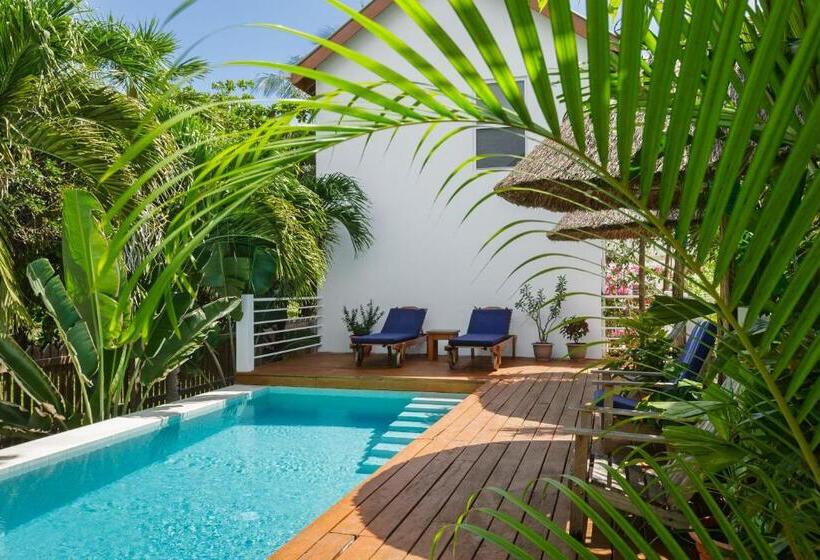 스탠다드 스튜디오, Weezie S Ocean Front Hotel And Garden Cottages